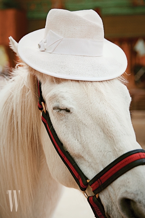 백마가 쓴 흰색 라피아 모자는 아르마니 꼴레지오니 제품. 35만원.