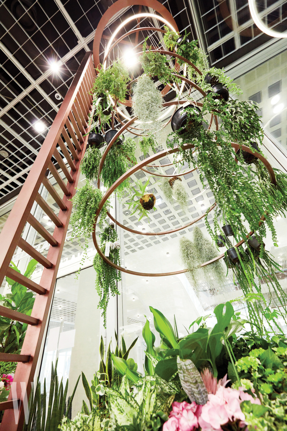 6미터가량의 천장 가득 다채로운 식물이 장식된 에어 플랜트.