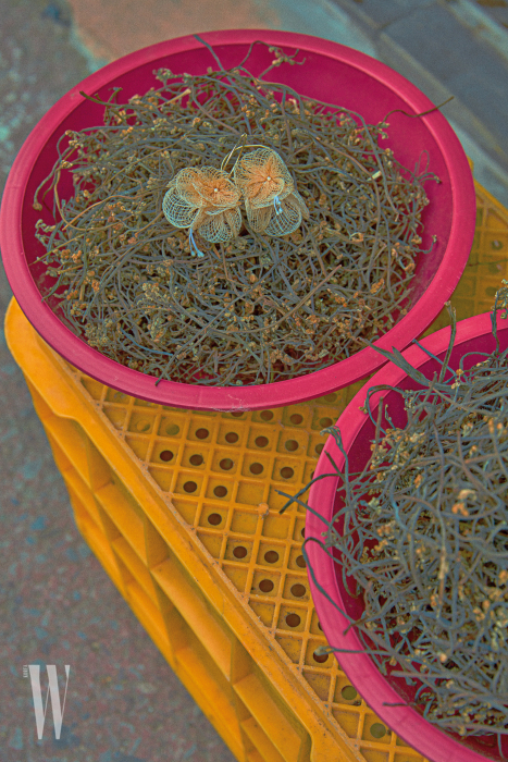 망사를 꽃잎 모양으로 만든 귀고리는 베베 제품. 5만9천원.